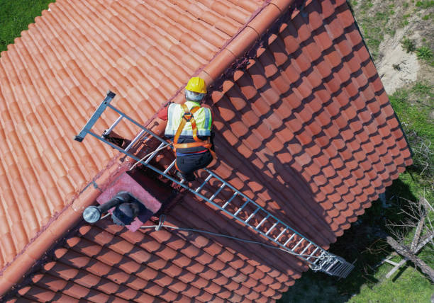 Best Roof Maintenance and Cleaning  in Mount Airy, NC